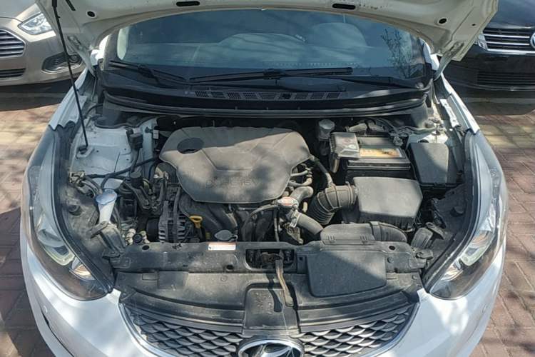 Used Hyundai Elantra (5th Generation / Langdong) 2016 1.6L Automatic Smart Version Engine Bay