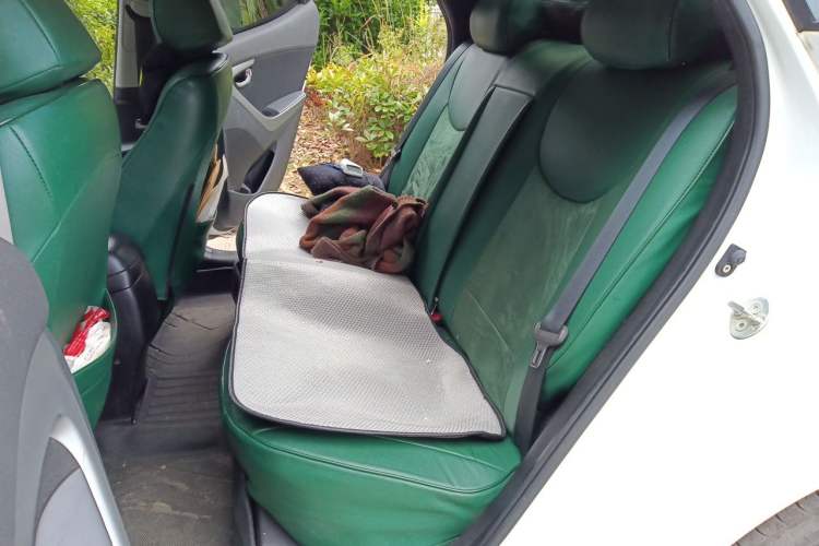 Used Hyundai Elantra (5th Generation / Langdong) 2016 1.6L Automatic Prestige Model Left Rear Seat