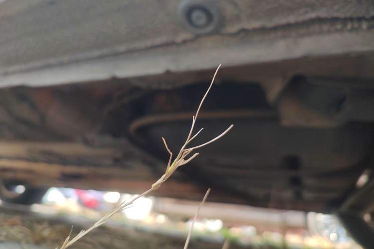 Used Hyundai Elantra (5th Generation / Langdong) 2016 1.6L Automatic Smart Version Left Side Sill
