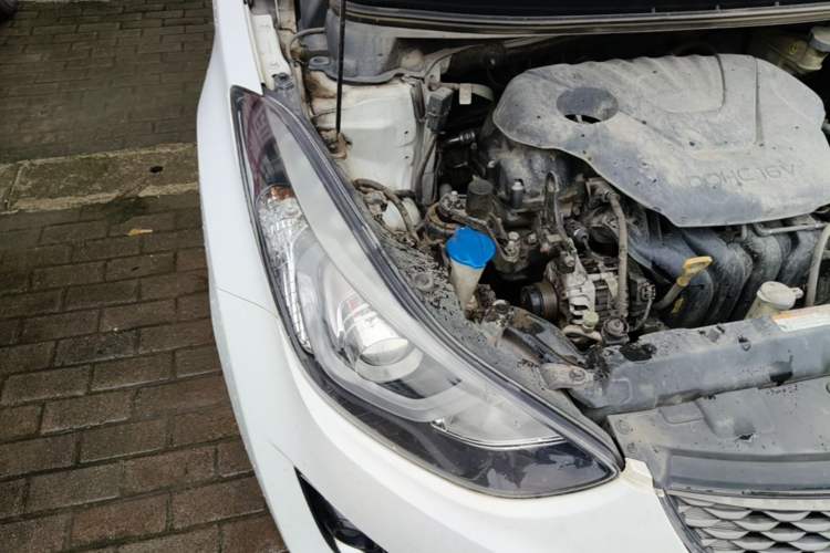Used Hyundai Elantra (5th Generation / Langdong) 2016 1.6L Automatic Prestige Model Right Front Headlight