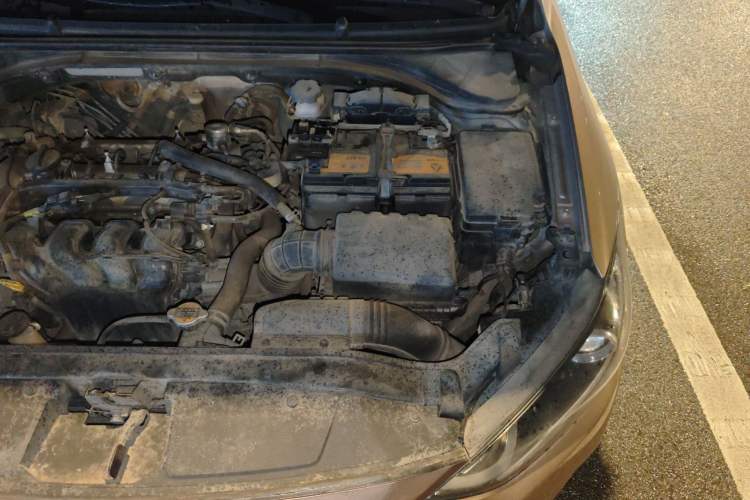 Used Hyundai Elantra (6th Generation / Lingdong) 2016 1.6L Automatic ZhiXuan – Elite Version Engine Bay Left