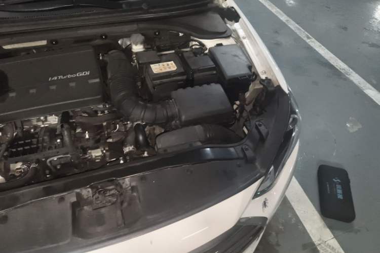 Used Hyundai Elantra (6th Generation / Lingdong) 2016 1.4T Dual-Clutch Xuan Dong · Flagship Edition Engine Bay Left