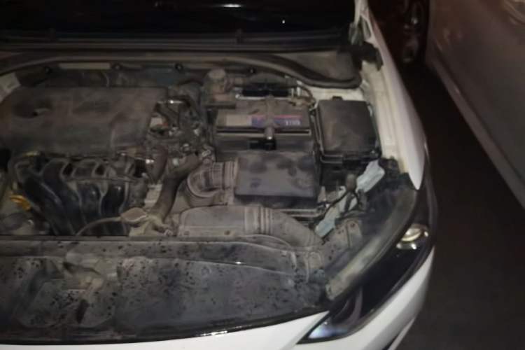 Used Hyundai Elantra (6th Generation / Lingdong) 2016 1.6L Automatic ZhiXuan – Elite Version Engine Bay Left