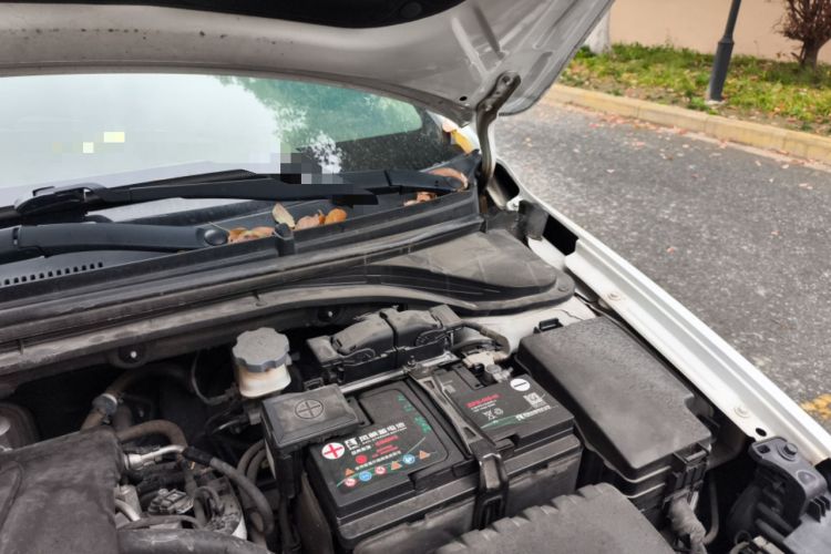 Used Hyundai Elantra (6th Generation / Lingdong) 2016 1.6L Automatic ZhiXuan – Elite Version Engine Bay Left