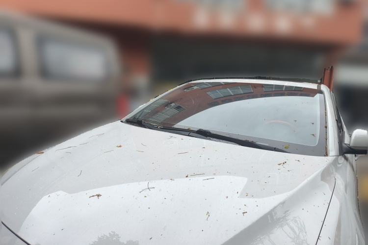 Used Hyundai Elantra (6th Generation / Lingdong) 2016 1.6L Automatic ZhiXuan – Elite Version Guazi used car, China used car export, Used car for sale, Used  cars, Cheapest cars for sale