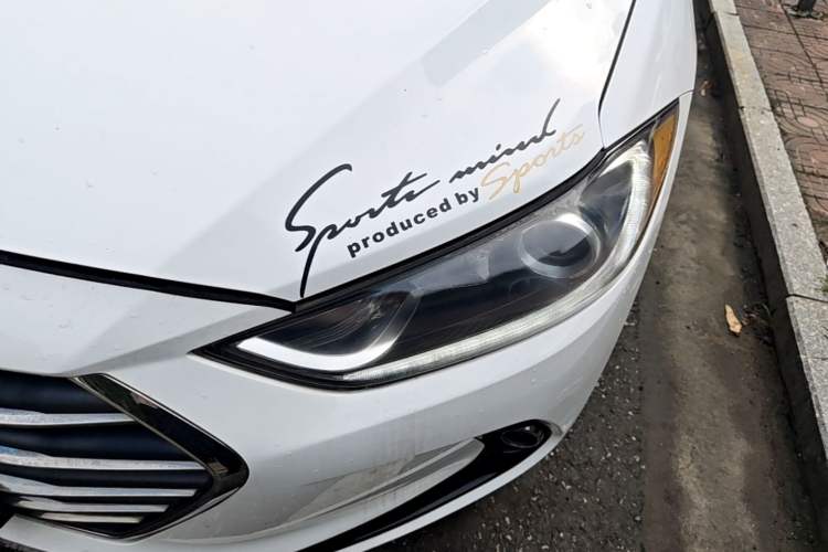 Used Hyundai Elantra (6th Generation / Lingdong) 2016 1.6L Automatic ZhiXuan – Elite Version Left Front Headlight
