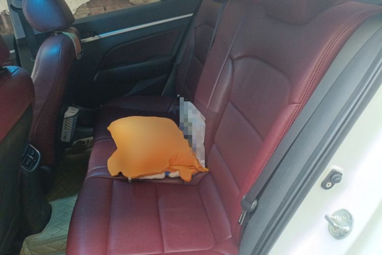 Used Hyundai Elantra (6th Generation / Lingdong) 2016 1.6L Automatic ZhiXuan – Elite Version Left Rear Seat