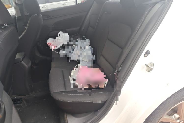 Used Hyundai Elantra (6th Generation / Lingdong) 2016 1.4T Dual-Clutch Xuan Dong · Dynamic Version Left Rear Seat