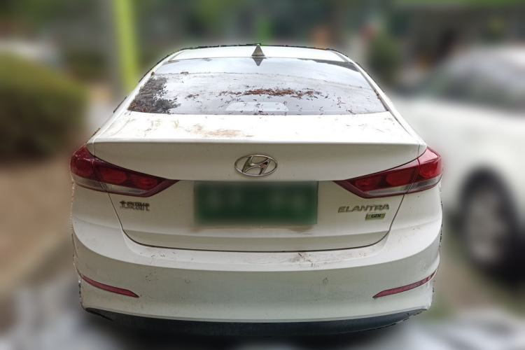Used Hyundai Elantra (6th Generation / Lingdong) 2016 1.6L Automatic ZhiXuan – Elite Version Rear