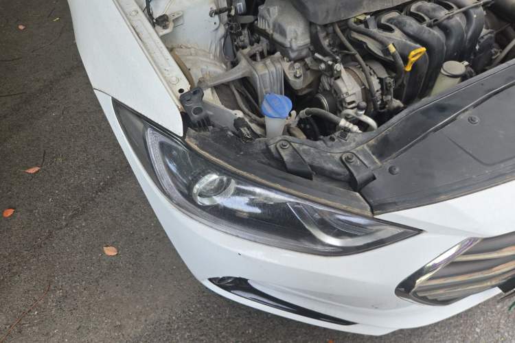 Used Hyundai Elantra (6th Generation / Lingdong) 2016 1.6L Automatic ZhiXuan – Elite Version Right Front Headlight
