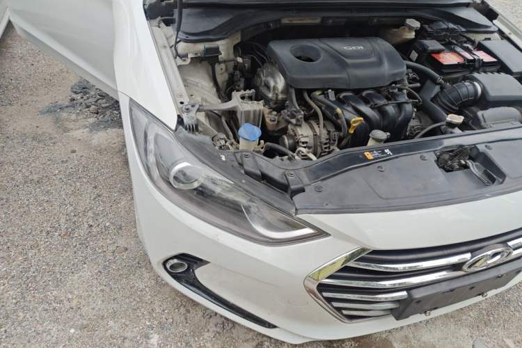Used Hyundai Elantra (6th Generation / Lingdong) 2016 1.6L Automatic ZhiXuan – Elite Version Right Front Headlight