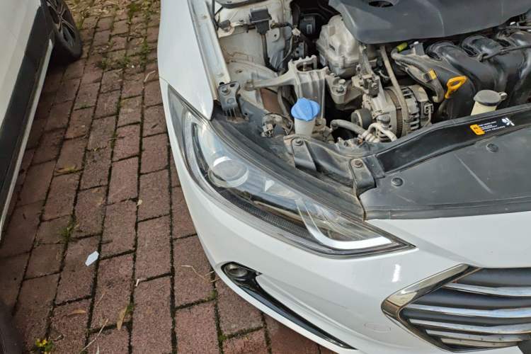 Used Hyundai Elantra (6th Generation / Lingdong) 2016 1.6L Automatic ZhiXuan – Elite Version Right Front Headlight