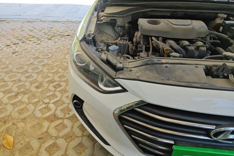 Used Hyundai Elantra (6th Generation / Lingdong) 2016 1.6L Automatic ZhiXuan – Elite Version Right Front Headlight