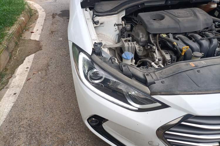 Used Hyundai Elantra (6th Generation / Lingdong) 2016 1.6L Automatic ZhiXuan – Elite Version Right Front Headlight