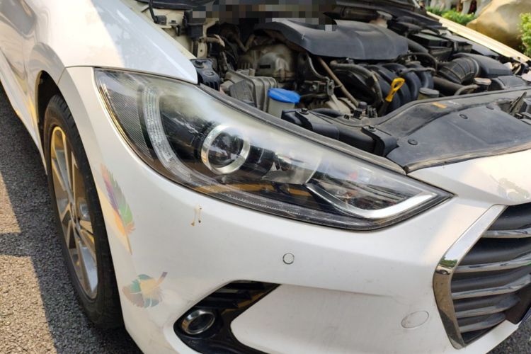 Used Hyundai Elantra (6th Generation / Lingdong) 2016 1.6L Automatic ZhiXuan – Elite Version Right Front Headlight