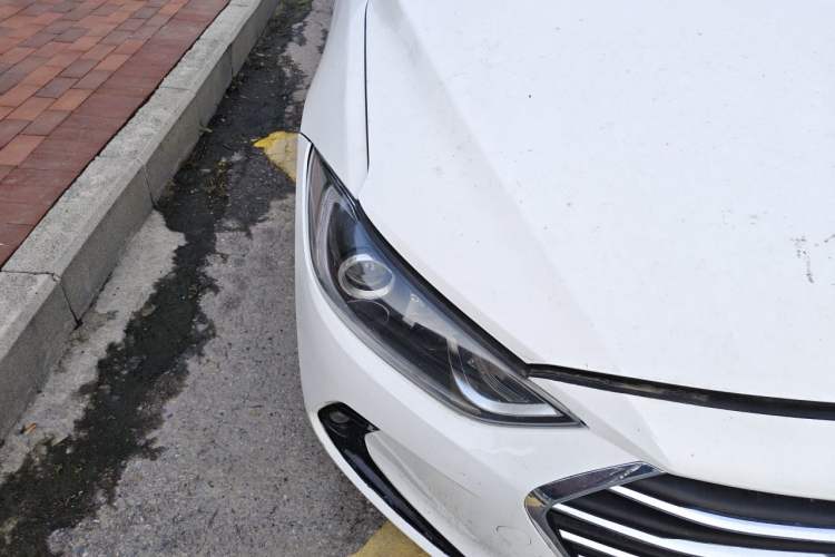 Used Hyundai Elantra (6th Generation / Lingdong) 2016 1.6L Automatic ZhiXuan – Elite Version Right Front Headlight