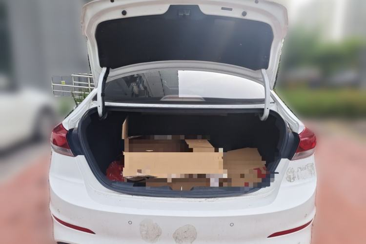 Used Hyundai Elantra (6th Generation / Lingdong) 2016 1.4T Dual-Clutch Xuan Dong · Dynamic Version Trunk