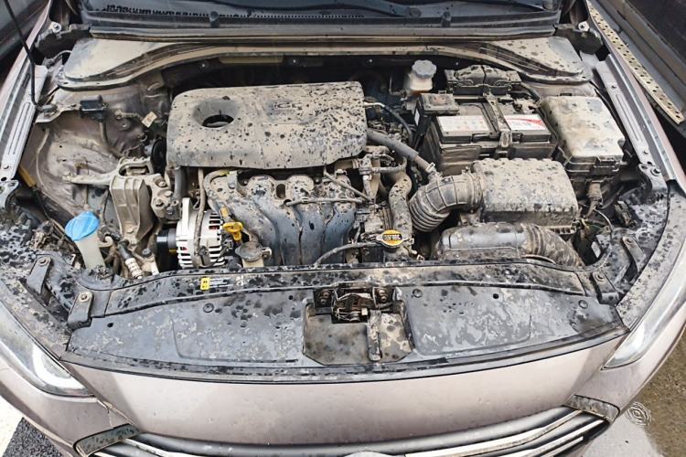 Used Hyundai Elantra (6th Generation / Lingdong) 2016 1.6L Automatic ZhiXuan – Elite Version Engine Bay