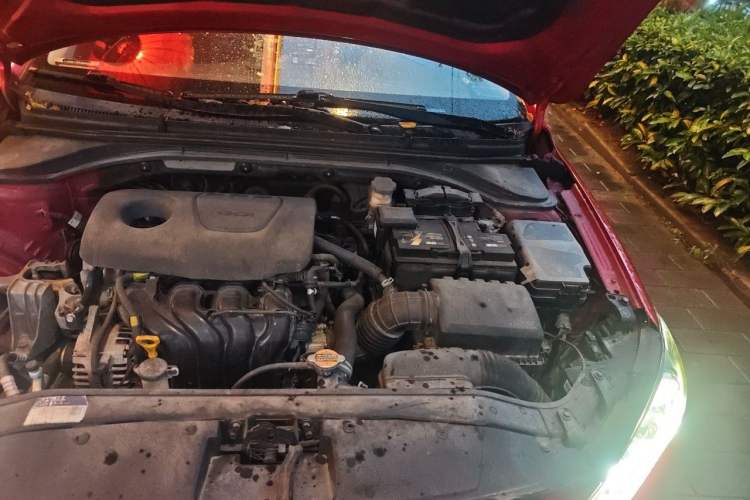 Used Hyundai Elantra (6th Generation / Lingdong) 2018 1.6L Automatic 15th Anniversary Special Edition Engine Bay Left