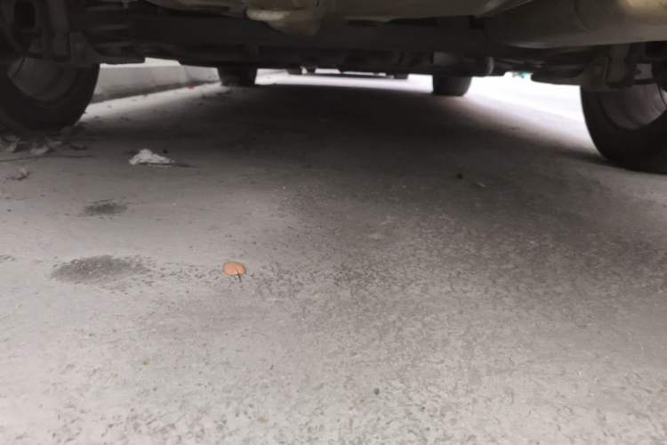 Used Hyundai Elantra (6th Generation / Lingdong) 2018 1.4T Dual-Clutch Xuan Dong · Dynamic Edition Chassis Rear