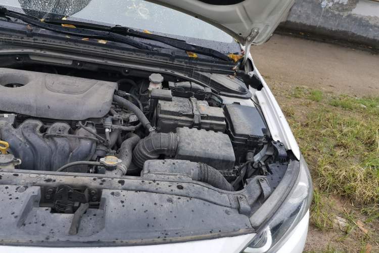 Used Hyundai Elantra (6th Generation / Lingdong) 2018 1.6L Automatic 15th Anniversary Special Edition Engine Bay Left