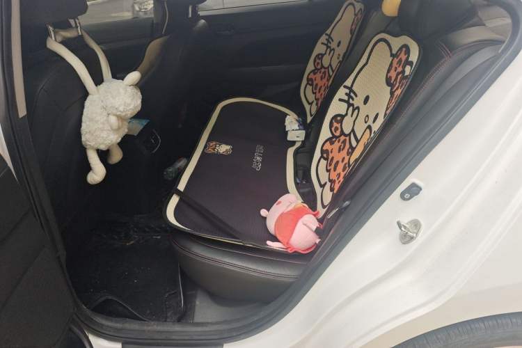 Used Hyundai Elantra (6th Generation / Lingdong) 2018 1.4T Dual-Clutch Xuan Dong · Dynamic Edition Left Rear Seat