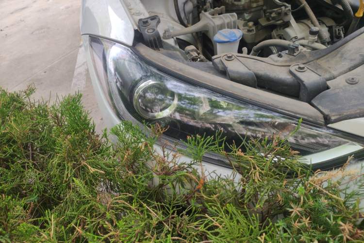Used Hyundai Elantra (6th Generation / Lingdong) 2018 1.6L Automatic 15th Anniversary Special Edition Right Front Headlight