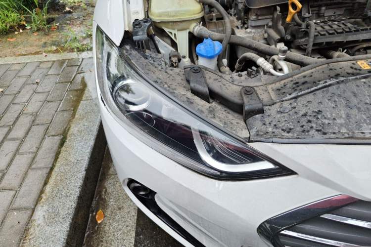 Used Hyundai Elantra (6th Generation / Lingdong) 2018 1.4T Dual-Clutch Xuan Dong · Dynamic Edition Right Front Headlight