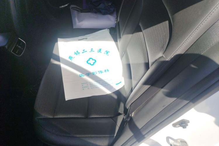 Used Hyundai Elantra (6th Generation / Lingdong) 2019 1.5L CVT ZhiXuan – Elite Version Left Rear Seat