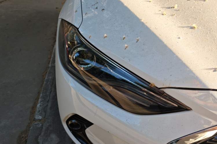 Used Hyundai Elantra (6th Generation / Lingdong) 2019 1.4T Dual-Clutch Xuan Dong · Dynamic Model Right Front Headlight