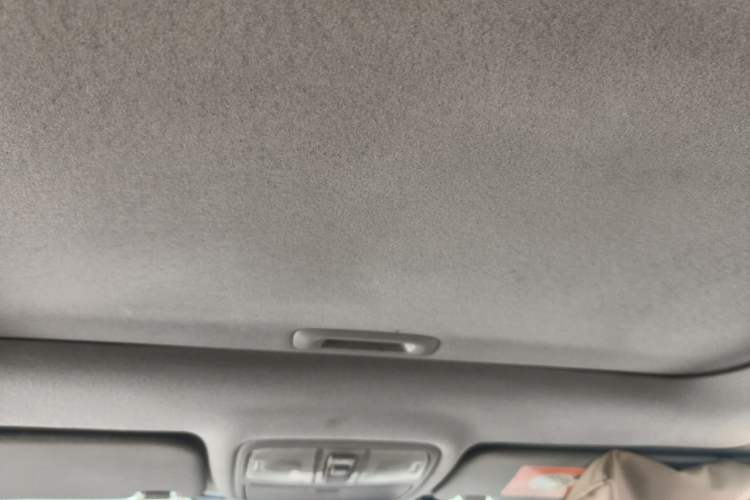 Used Hyundai Elantra EV 2017 GS PLUS Edition Headliner