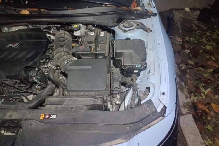 Used Hyundai Elantra N 2023 2.0T Sport Package Edition Engine Bay Left