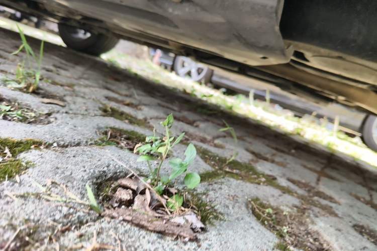 Used Hyundai ENCINO 2019 1.6T Iron Man Edition Chassis Rear Left