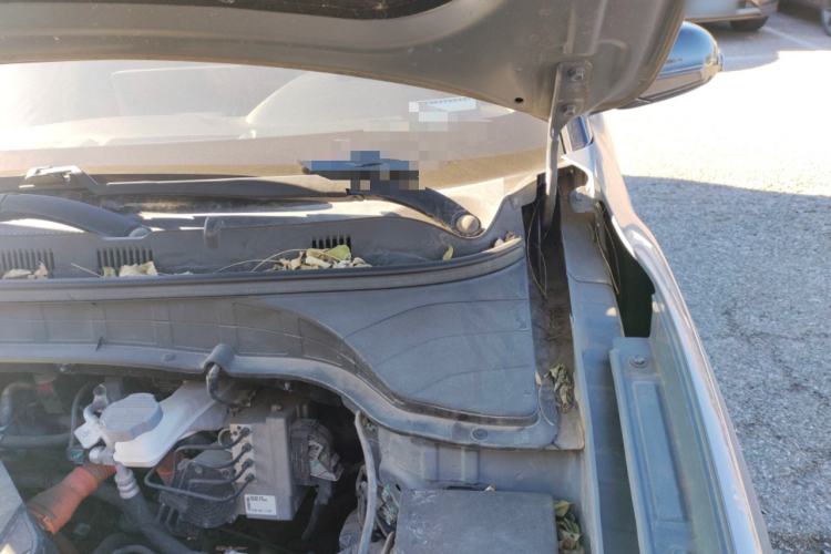 Used Hyundai ENCINO Electric 2020 TOP Enjoyment Edition Engine Bay Left