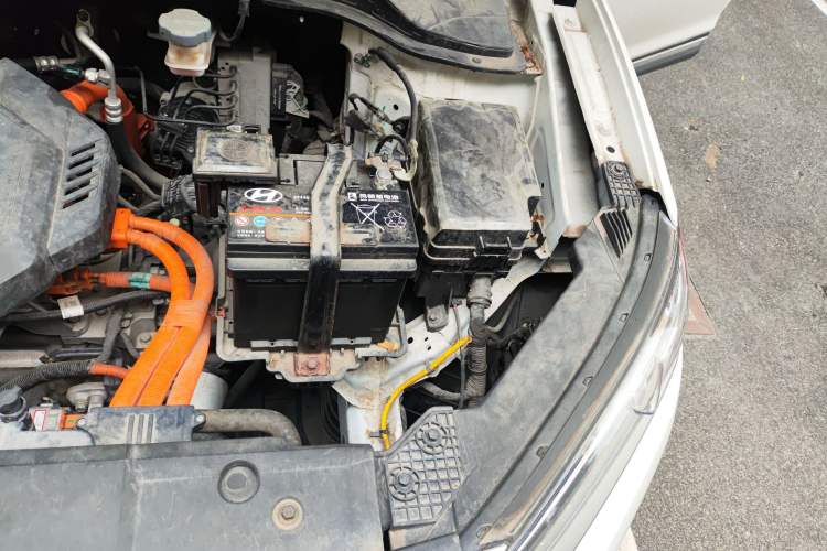 Used Hyundai ENCINO Electric 2020 TOP Enjoyment Edition Engine Bay Left
