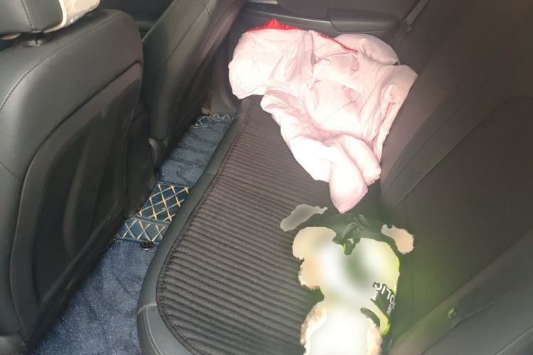 Used Hyundai ENCINO Electric 2020 GLS ZhiJie Edition Left Rear Seat