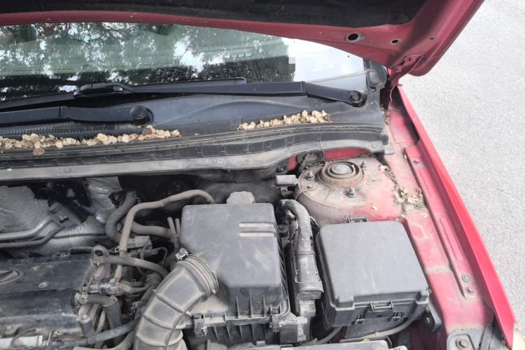 Used Hyundai i30 2009 1.6L Automatic Comfort Edition Engine Bay Left