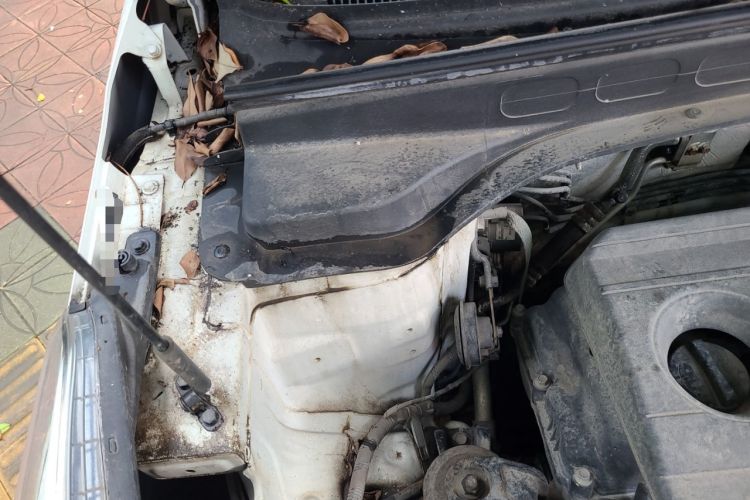 Used Hyundai ix25 2017 1.6L Automatic Smart Version Engine Bay Right