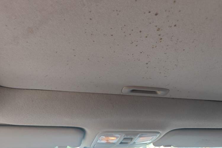 Used Hyundai ix35 2012 2.0L Automatic Two-Wheel Drive Elite Edition GLS Headliner