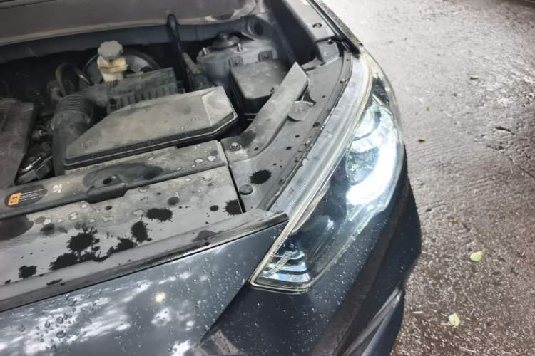 Used Hyundai ix35 2018 2.0L Automatic 2WD Zhiyong·Changxiang Edition Engine Bay Left