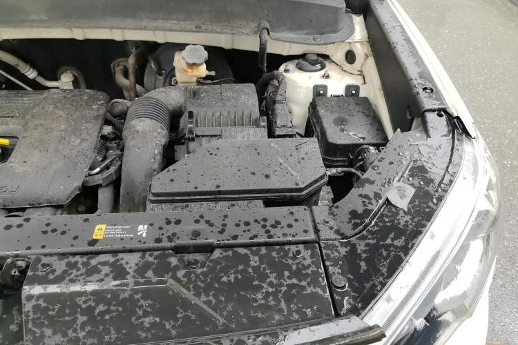 Used Hyundai ix35 2018 2.0L Automatic 2WD Zhiyong·Changxiang Edition Engine Bay Left