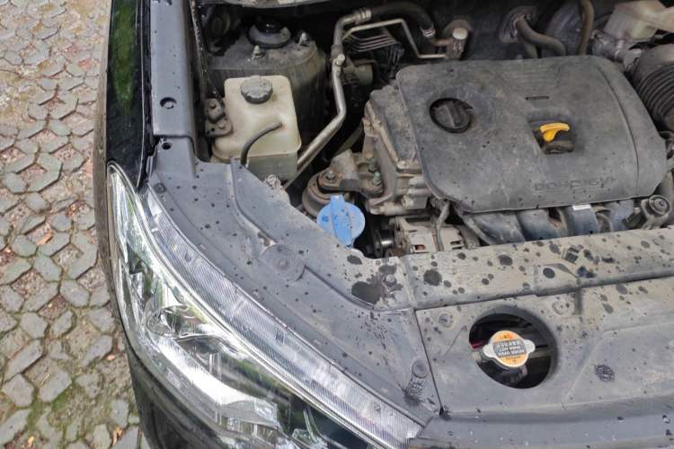 Used Hyundai ix35 2019 2.0L Automatic 2WD Zhiyong·Changxiang Edition China VI Standard Engine Bay Right