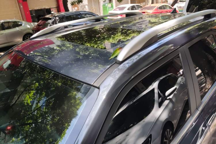 Used Hyundai ix35 2021 2.0L Automatic 2WD GLS Leading Edition Roof