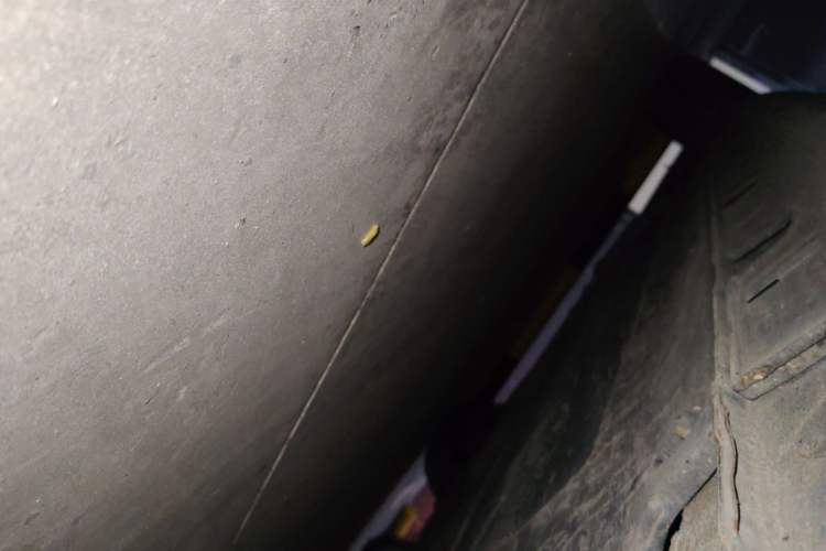 Used Hyundai Lafesta 2019 280TGDi Smart Edition China VI Standard Chassis Front Right
