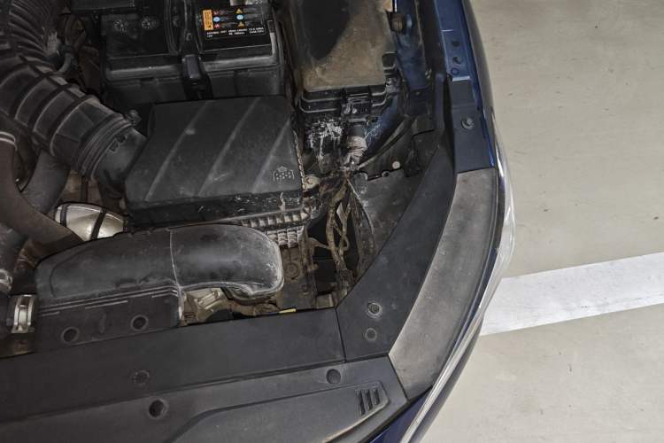 Used Hyundai Lafesta 2019 280TGDi Smart Speed Version China V Standard Engine Bay Left