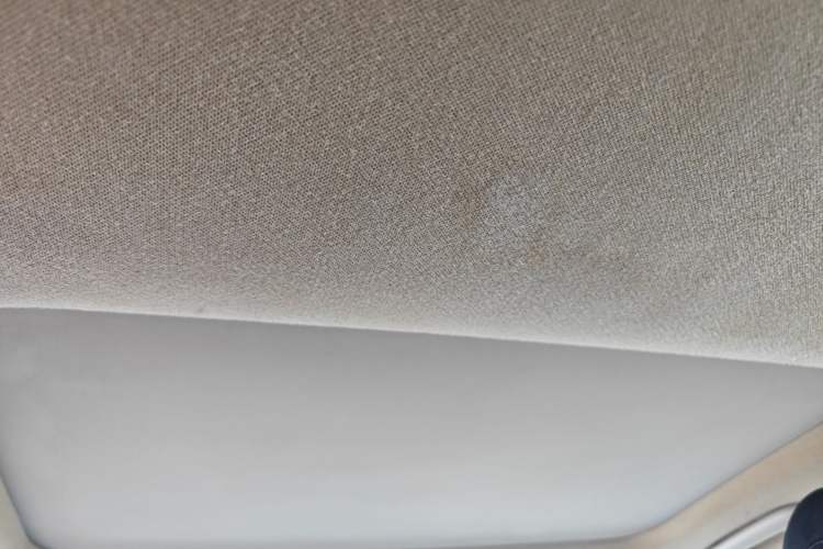Used Hyundai Lafesta 2019 280TGDi Sport Edition China VI Headliner
