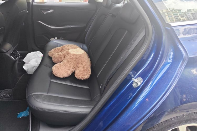 Used Hyundai Lafesta 2019 280TGDi Smart Edition China VI Standard Left Rear Seat