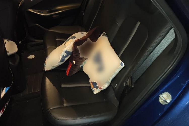 Used Hyundai Lafesta 2019 280TGDi Sport Edition China VI Left Rear Seat