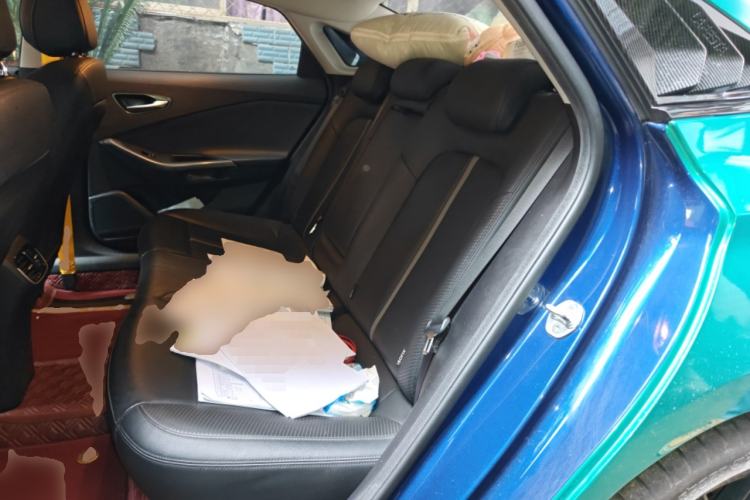 Used Hyundai Lafesta 2019 280TGDi Smart Edition China VI Standard Left Rear Seat