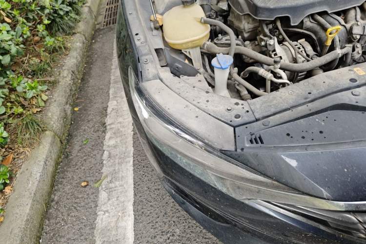 Used Hyundai Lafesta 2019 280TGDi Smart Speed Version China VI Standard Right Front Headlight